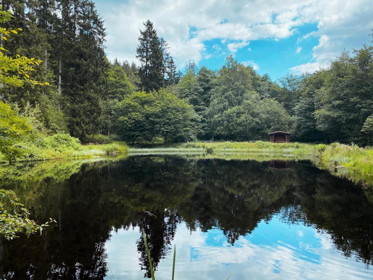 B&B Am Oker, Altenau, Harz Альтенау Экстерьер фото